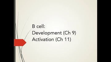 Chapter 9 B cells development