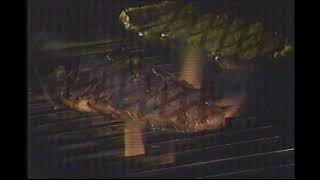 Ponderosa Steakhouse Commercial (1990s)