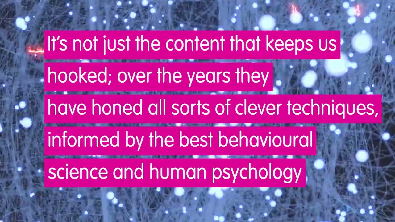 Why is social media harmful?