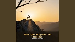 Ainda Que a Figueira Não Floresça