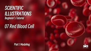 Beginner C4D Tutorial for Scientific Visualization | 3D Modeling Guide | 07 Red Blood Cell