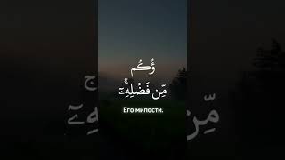 Сура Ар-Рум (1-32) | Шейх Абдуррахман аль-Маджид | Красивое чтение Корана
