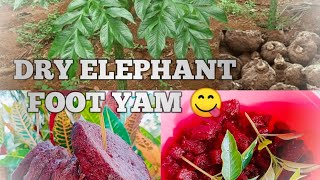 Dry elephant foot yam fry With Lemon juice //NORTHEAST FOOD//😋🤤