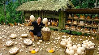 Primitive Skills: Man Harvests Hundreds of Giant Chicken Eggs, Then Sells Them at the Local Market.