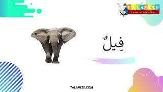 Japprends les animaux dans le coran en arabe avec Talamize 2/3