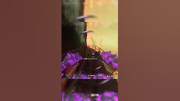 *SECRET META* with Wsp-Swarm🤯 *class at end* #callofduty #cod #warzone #rebirthisland #shorts