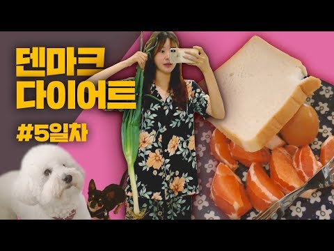 회사 다니면서 다이어트하기 (덴마크다이어트 5일차) l 치유 CHEEU