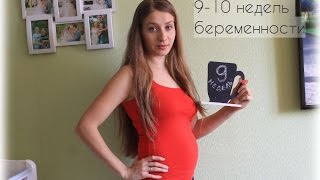 9 Недель Беременности Фото 9 Недель Беременности Фото