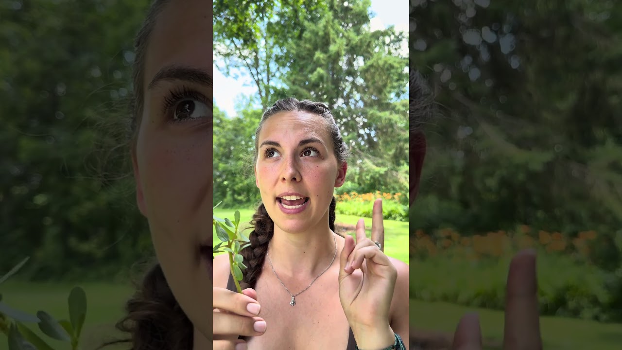 Your gardens secret super food. 