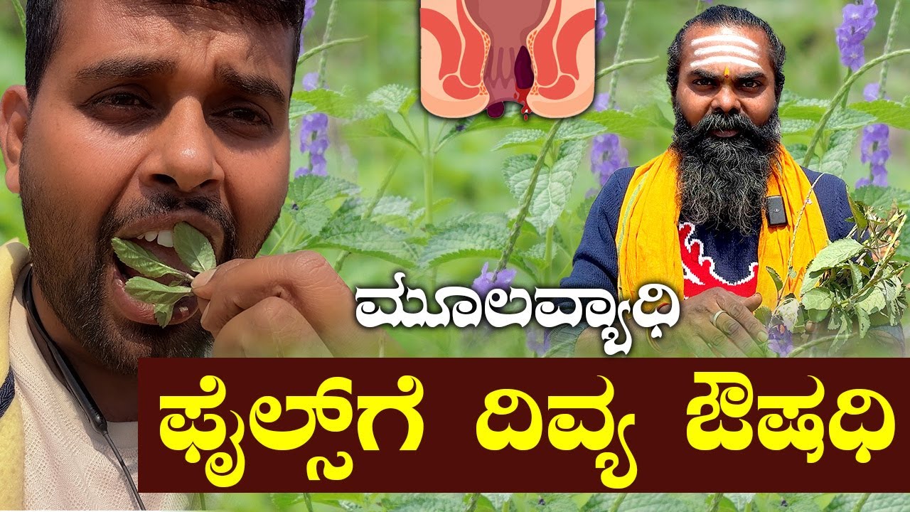 Best Village Home Remedy for Piles | ಮೂಲವ್ಯಾಧಿಗೆ ರಾಮಬಾಣ ಈ ಉತ್ತರಾಣಿ ಗಿಡ! ಬಳಸುವ ವಿಧಾನ ಇಲ್ಲಿದೆ | 