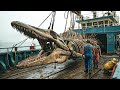 Gli Scienziati hanno appena Scoperto un gigantesco Mosasauro in Mississippi