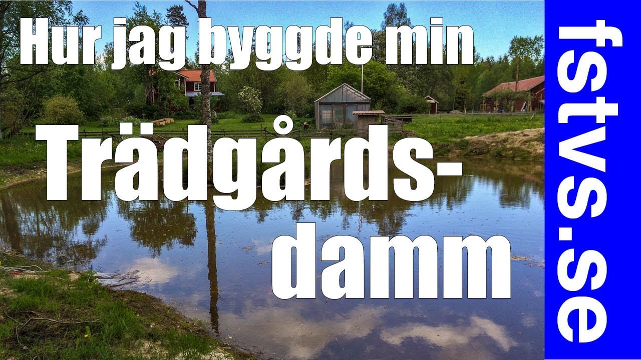 Bygga damm i trädgården