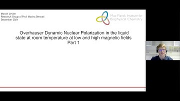 Overhauser Dynamic Nuclear Polarization in the Liquid State | Marcel Levien | Session 40