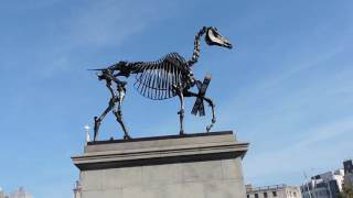 Trafalgar Square. Nov. 2015, London