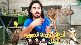 تدريب صقر الشرياص وكيفيته التعامل معه