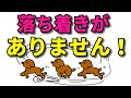 【犬 しつけ】愛犬の落ち着かせ方、突然走り回る、飛びつく、じゃれつく、撫でさせてくれない、お手入れ出来ない【犬のしつけ＠横浜】by遠藤エマ先生