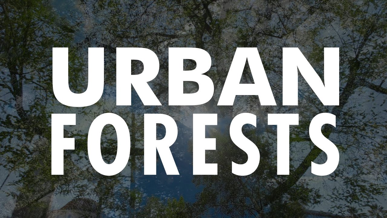 Urban Forests