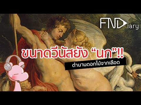 ตำนานดอกอโดนิส ดอกไม้แห่งความรักจากเลือดกิ๊ก I แค่อยากเล่า...◄78►