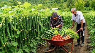 Harvesting Vegetables with Grandma & Grandpa | Country Life Vlog