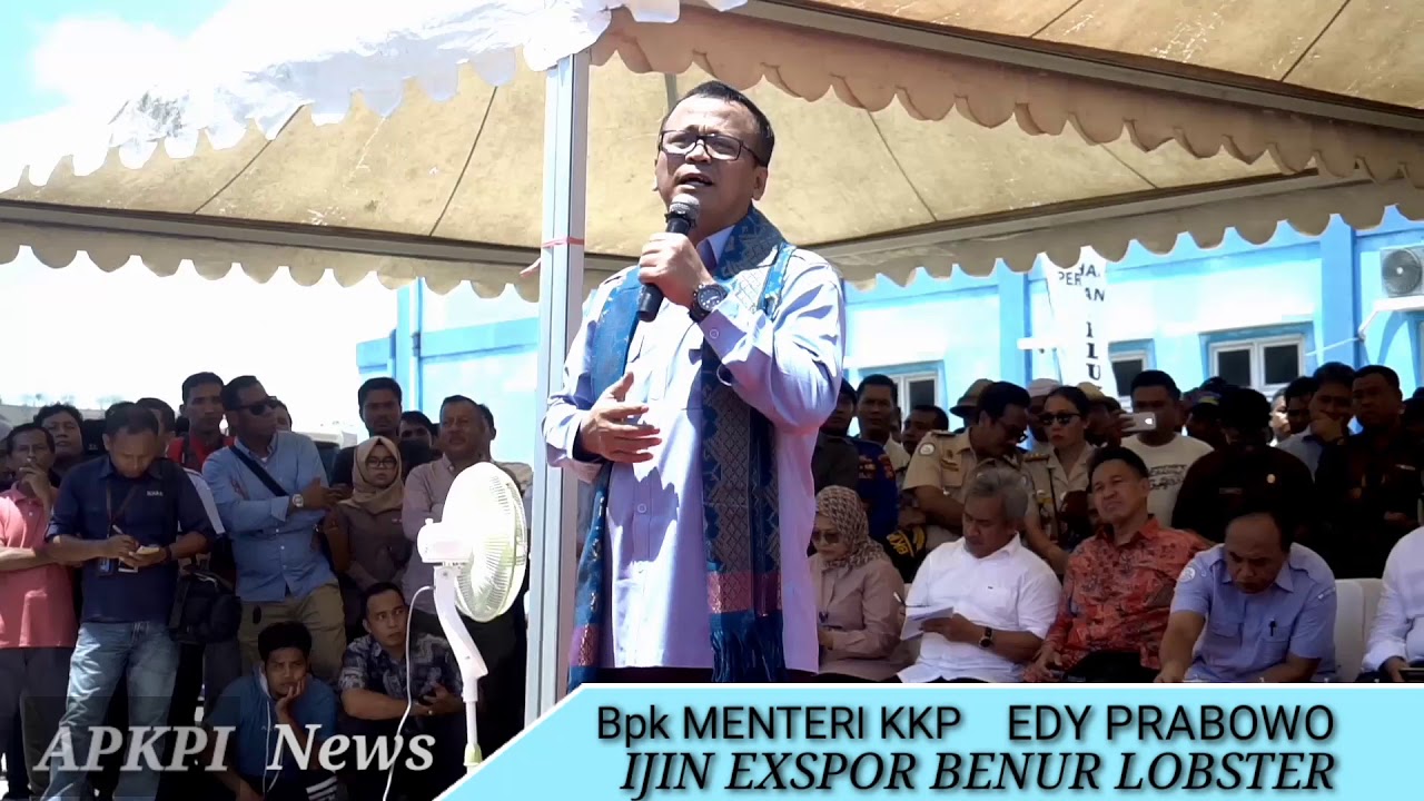Menteri KKP Edy Prabowo Ijin Ekspor  BebyLobster YouTube