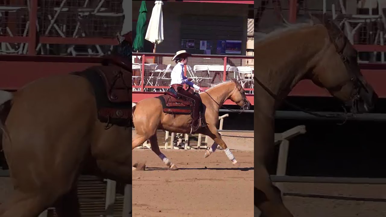 Beautiful Palomino Horse Rider With Amazing Sliding Stop Shorts