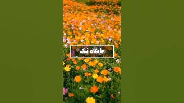 #مسعود_ریاعی#بهروز_رضوی،سوره نساء آیه ۳۱