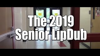 Bloomingdale High School Senior Lipdub 2019