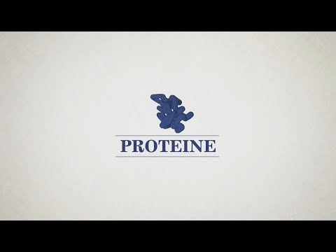 Video: So Wählen Und Kaufen Sie Proteine and