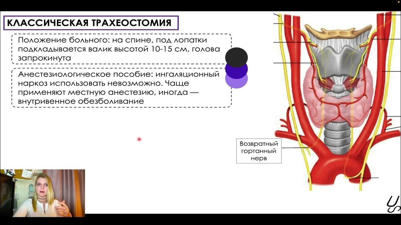 Микробиология сеченова. Микробиология сеченова