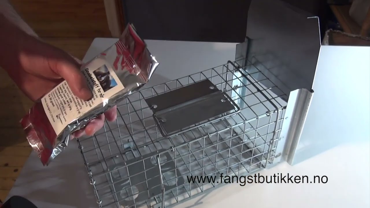 Liten levende felle for mink og smådyr