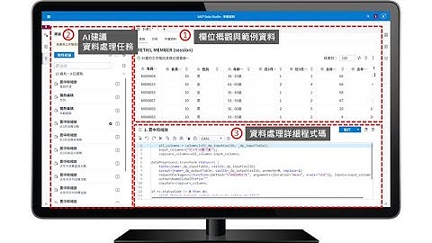 SAS Visual Analytics 自動建議資料處理結果