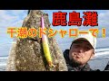 昼の干潮ドシャローで！？鹿島灘サーフ