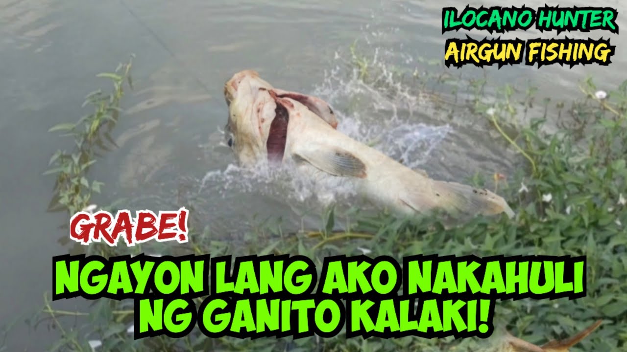 Vlog#117: Ngayon Lang ako nakahuli ng Ganito Kalaki!/Sa Airgun ni sir SGT. Theng Salikula! Panoorin!