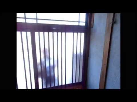 来訪!DVDの宣伝