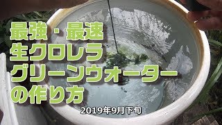 【メダカ】生クロレラでグリーンウォーターを作る