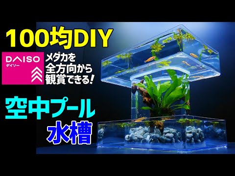 メダカの【 空中プール水槽】作り方100均DIY! メダカ室内飼育 /卓上ビオトープ・アートアクアリウム作成/How to Make a Tabletop Amazing Idea Aquarium