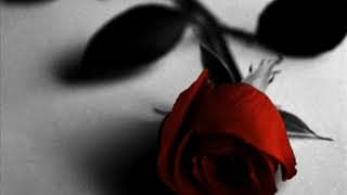 حسرتك مثل الرصاصة | أغنية تركية حزينة مترجمة Hülya Polat_ Hasretin kurşun gibi