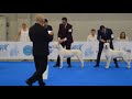 2016 WORLD DOG SHOW Dogo FINALS Moscow Russia 2016 WORLD DOG SHOW Dogo FINALS Moscow Russia