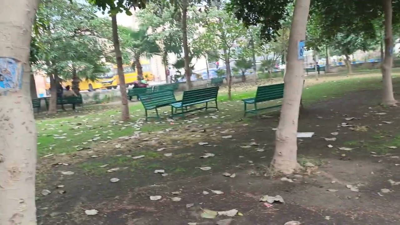 Gnc college budhlada 📚 