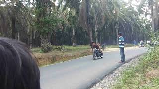 Download Lagu Drag GL Bagan Batu MP3