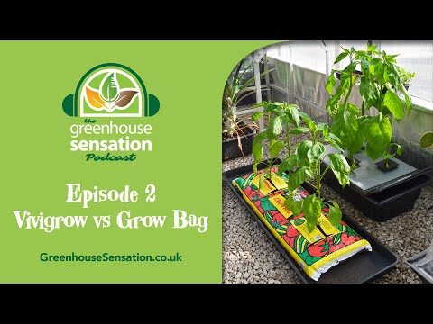 Episode 2 - Vivigrow Vs Grow Bag | The Greenhouse Sensation Podcast