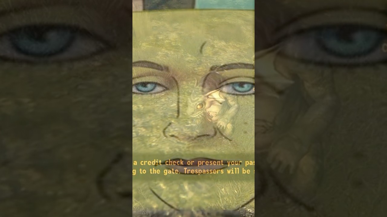 This is what the FNV randomizer does to you 