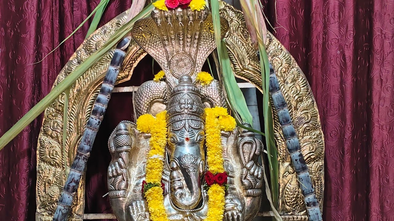 🙏ಸಂಕ್ರಾಂತಿ ಹಬ್ಬದ ❤️ಶುಭಾಶಯಗಳು💫 happy Pongal toall🙏💐💫🥰☕