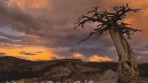 القرأن الكريم بصوت الشيخ : خميس ابو طلحة من اجمل الاصوات في العالم. سورة الاعراف