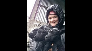 Ask the farmer Q&A with Farming for Nature Ambassador Pen Saugnier