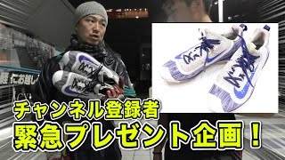 【12/20迄受付！チャンネル登録でプレゼント】フルオーダースパイク「NIKE エアー ハラチ 2K ローカット」