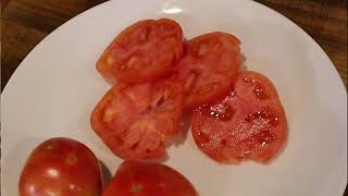 HYBRID Tomatoes GROWN from SAVED Seeds | A HYBRID HYBRID? screenshot 1