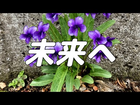 【合唱曲】未来へ / 混声三部合唱【歌詞付き】