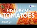 How Did Tomatoes Become An Italian Staple Delishtory 