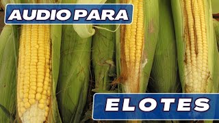 to sell CORN